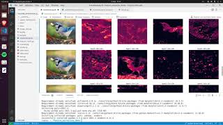 Feature Extraction With TorchVision's Newest Utility