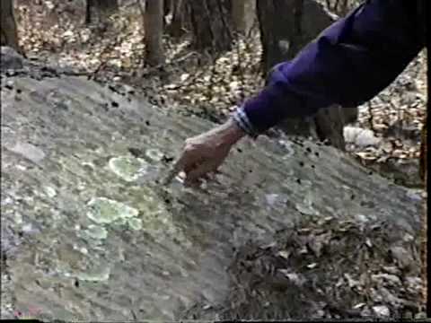 William T. Hathaway: Ripple Marks in Sedimentary Rocks along Stinking River, Pittsylvania County, VA