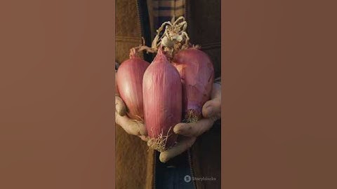 Surprising Health Benefits of Onions!