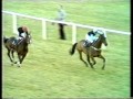 1973 Massey Ferguson Gold Cup Handicap Chase mp3