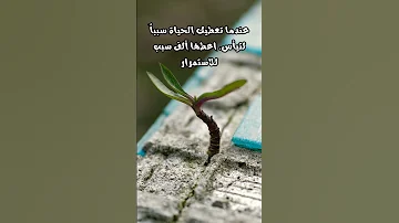 من أجمل ما قيل عن الامل و الإرادة خواطر تابعونا حالات واتس ستوريات Explore 