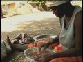 Senegal: Sowing The Seeds