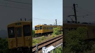福塩線　105系２両編成の黄色い電車　府中駅→福山駅行