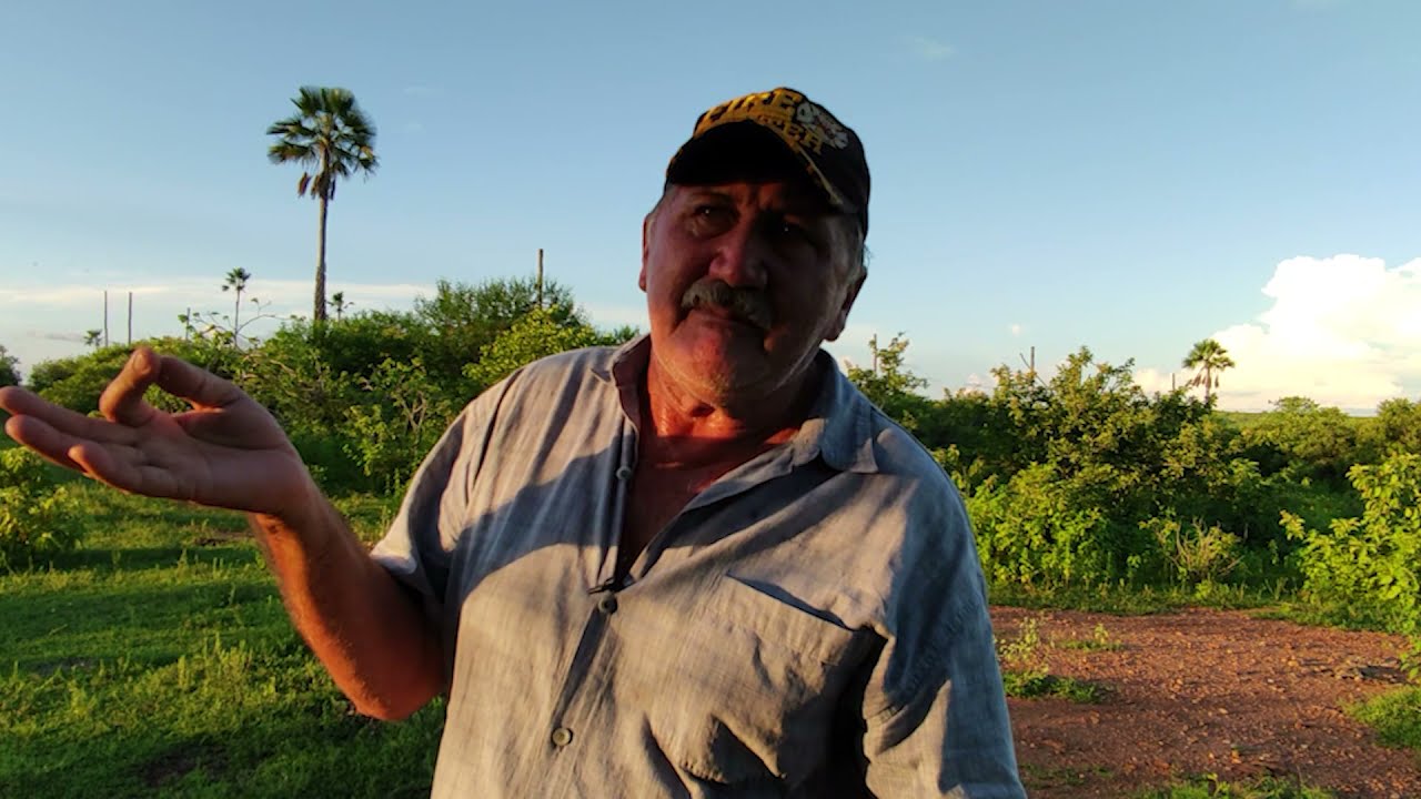 História de Assombração - Visões da Noite