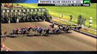 Java's War (#19): 2013 KY Derby Profile