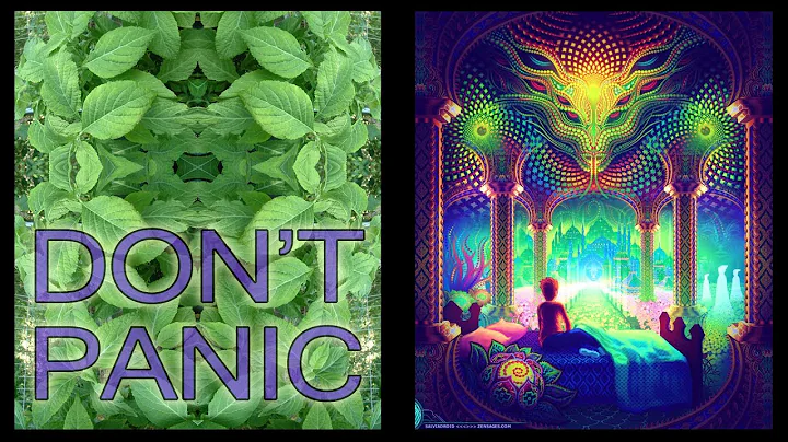 The Hitchhiker's Guide To Salvia Divinorum - Terence McKenna