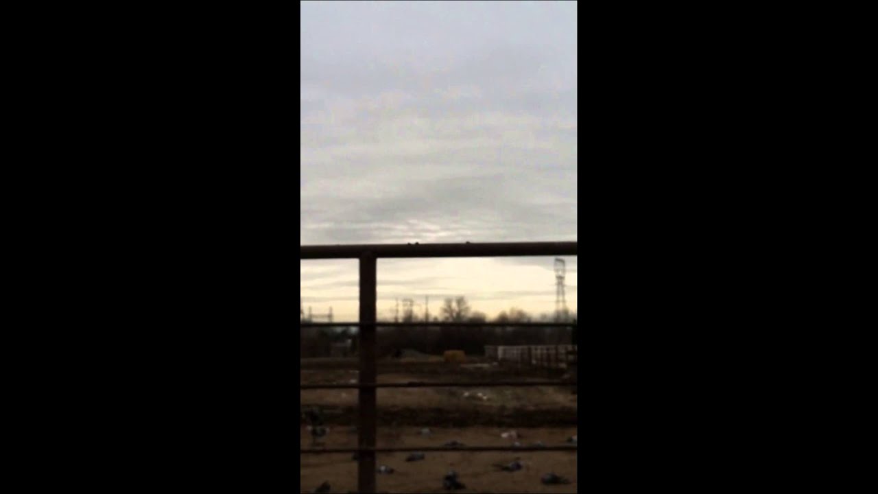 GoPro Decoying Pigeons 2k14