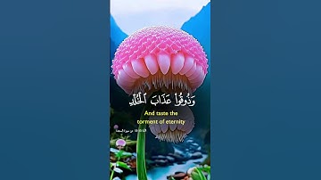 #القرآن_الكريم #اكسبلور #المصحف #quran #لايك #القرآن_الكريم #تلاوة_خاشعة #ماهر_المعيقلي