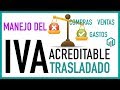 Manejo del IVA en compras y gastos | Contabilidad Básica