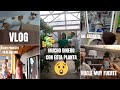 DIAS PRODUCTIVOS🌟MITO VERDADERO o FALSO😱⁉MUCHO DINERO💰LA CASA LLENA de PELOS😰CAMBIOS en EL BALCON💡