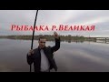 ЛОВЛЯ УКЛЕЙКИ / р. ВЕЛИКАЯ г. ПСКОВ / FISHING BLEAK / R. GREAT PSKOV