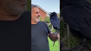 subhanallah#trending #viralvideo #animals #birds #islamicvideo #smartbirds