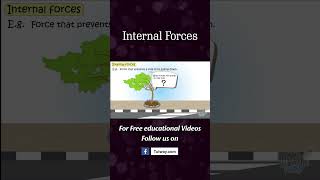 Internal Forces | Applied Forces | Internal and External Forces | Science News