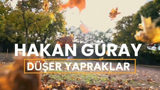 Hakan Güray - Düşer Yapraklar Resimi