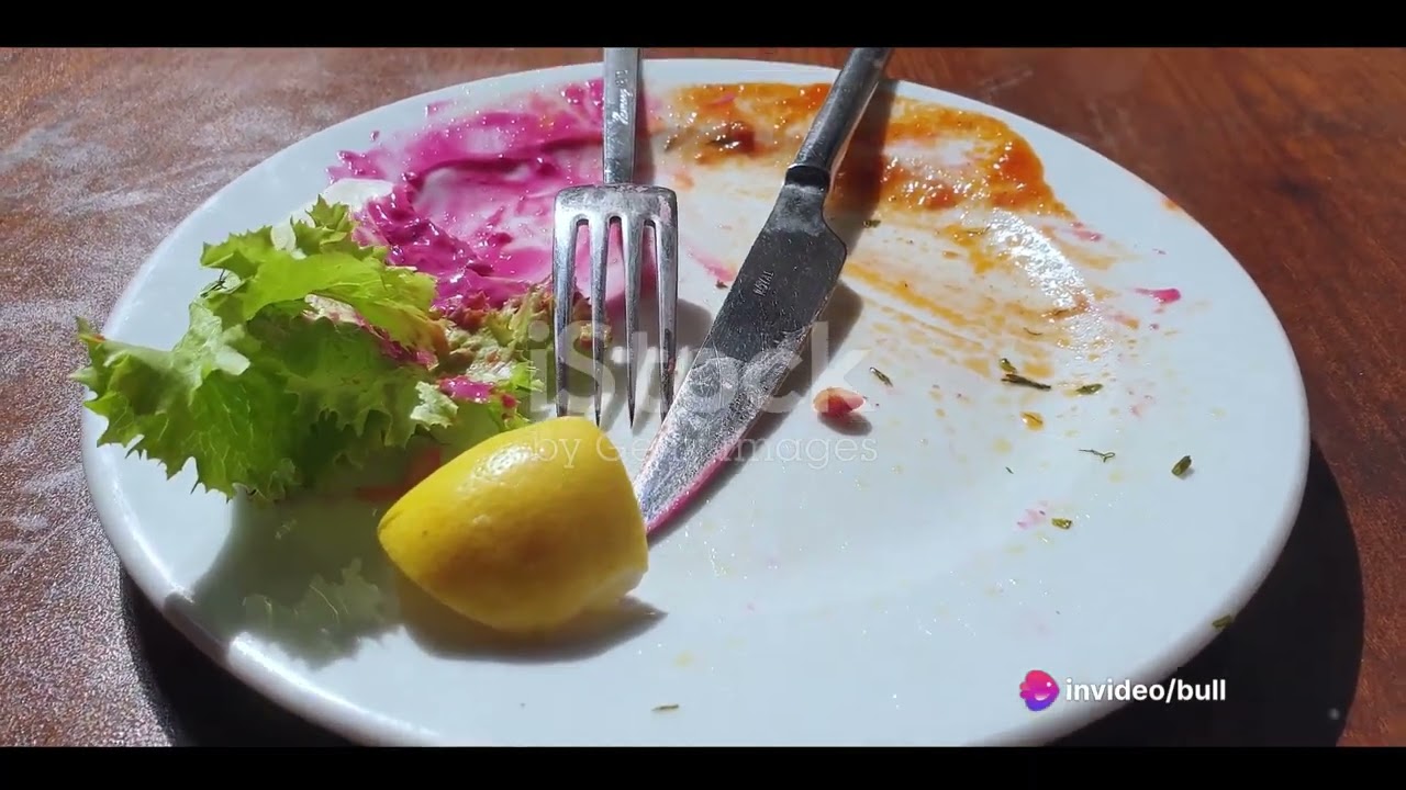 Life and Death: The Human Body's Journey