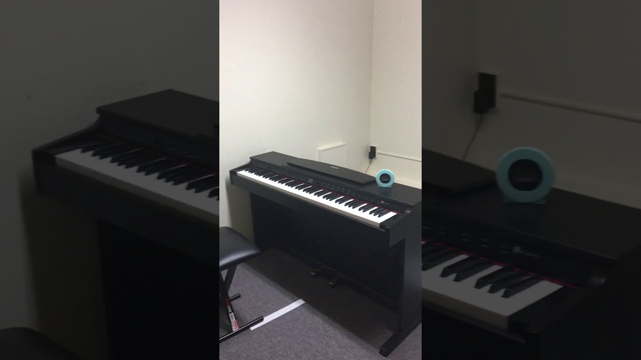 Music lessons social distancing style!