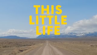 Tom Rosenthal - This Little Lifes