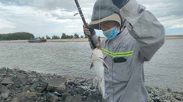 câu cá biển lọc an brvt