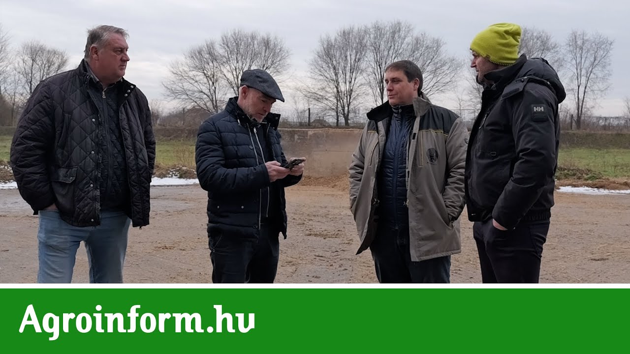 Szarvasmarhatelep szenzorálása a gyakorlatban