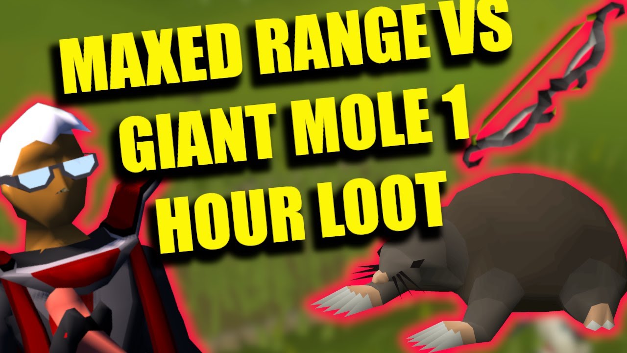 OSRS 1 Hour loot from the Giant mole Maxed range 2023 - YouTube