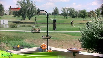 Welcome to Chime TV!  Slow down, relax, laugh and enjoy.