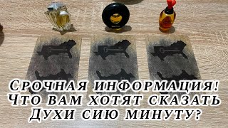 Срочная информация! Что вам хотят сказать Духи сию минуту? Гадание на Худу таро Hoodoo Tarot