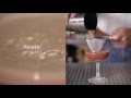 How to make an angostura sour  cocktail recipe presented by the house of angostura