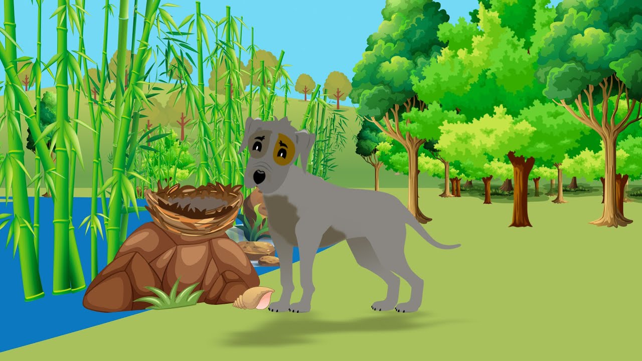 Favola di Esopo Il cane e la conchiglia YouTube