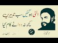 Khuda e sukhan  famous poetry  mir taqi mir  ulti ho gayi sab tadbiren  lehja urdu channel