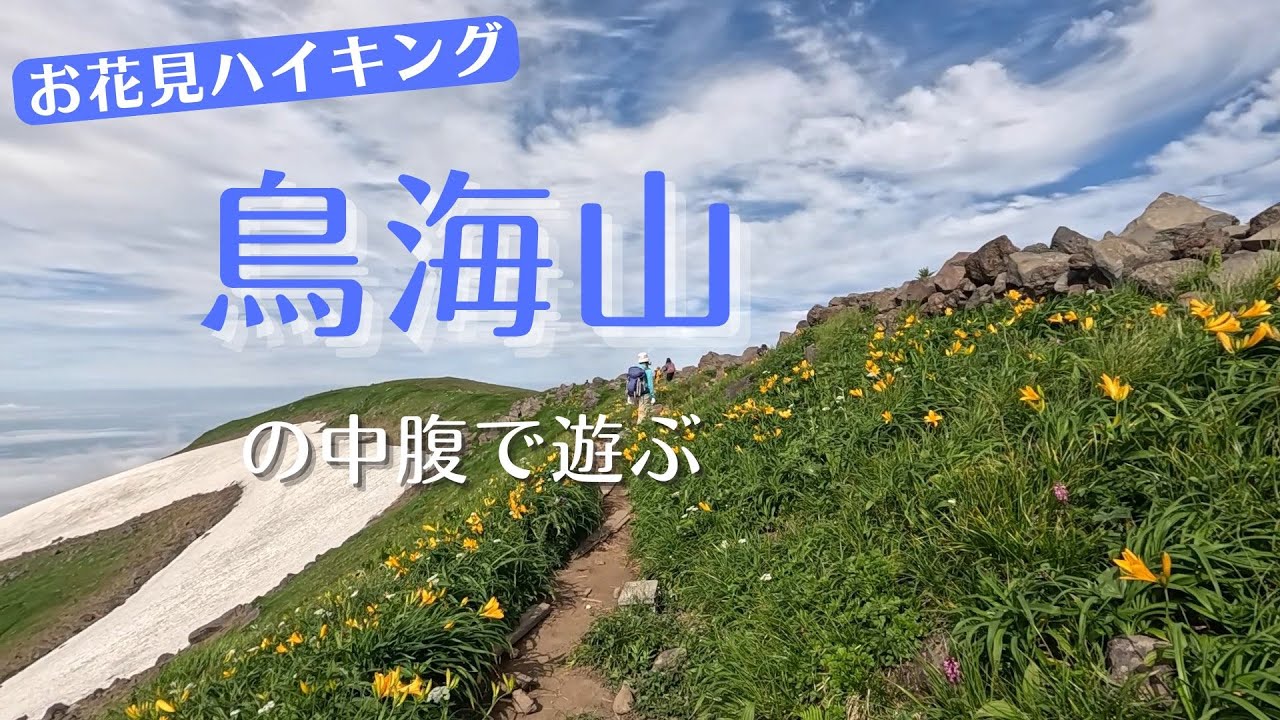 鳥海山 中腹［鉾立→御浜小屋→扇子森→笙ヶ岳→鉾立］ニッコウキスゲ