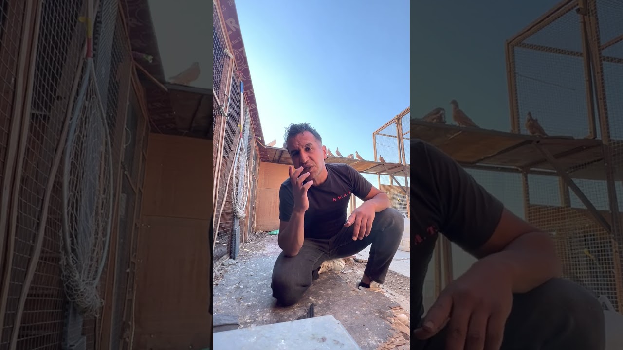 الاحمر العراقي .. تعالو اسولفلكم