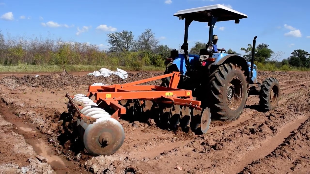 Fred Junior Maccarthy YouTube