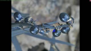Stacking close ups with Panasonic post focus and Helicon Focus