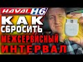 HAVAL H6. Как сбросить межсервисный интервал на Хавейл Н6 при помощи сканера AUTEL AP200