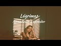 Carla Morrison - Lagrimas (letra)