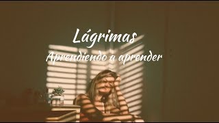 Carla Morrison - Lagrimas (letra) chords