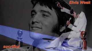 Download Lagu ELVIS PRESLEY - PLEDGING MY LOVE (FOREVER MY DARLING)