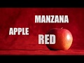 Bilingual Kids! ‎¡Niños Bilingües! Learn the Colors/Aprende los Colores