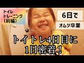 【トイレトレーニング】トイトレ4日目のトイレに1日密着。実践編。1番近道なトイトレはこれでした。トイトレの進め方やポイント、コツ、トイトレグッズについて。【6日でオムツ卒業。前編】