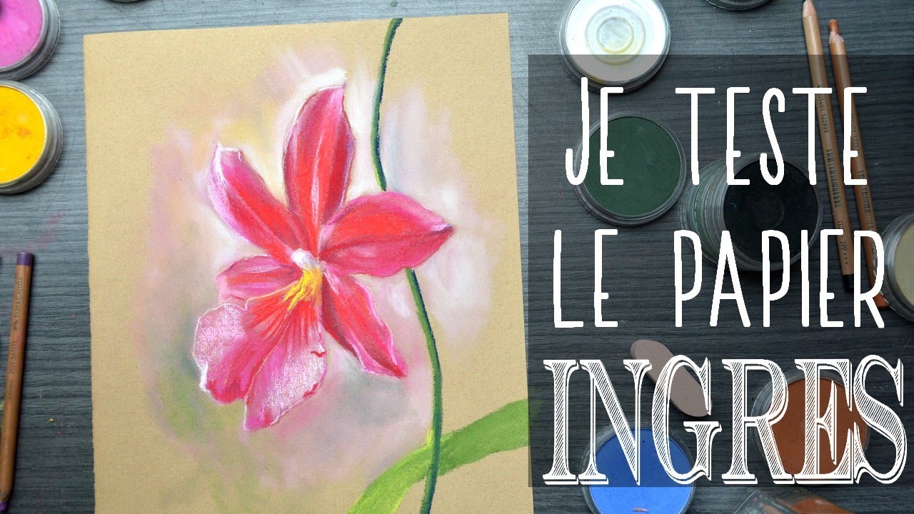 📃 Papier Ingres pour Pastel Sec 