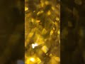 Dancing Bokeh