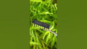 I Bought an LA 3161 /Tape Head Pre Amplifier IC in 2024