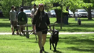 Idaho Chukar Foundation hosts snake avoidance course for dogs