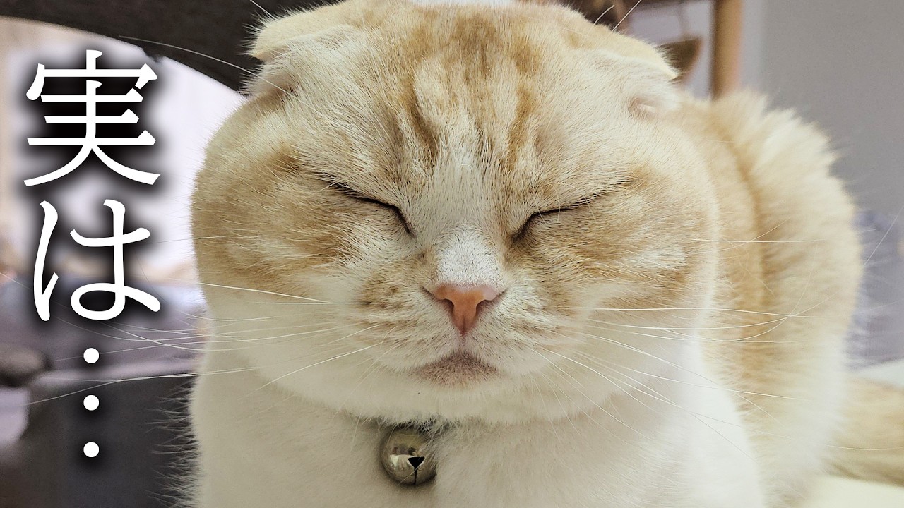 今までずっと黙ってた事をお話します...