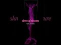 Slaves Of Pleasure - video art
