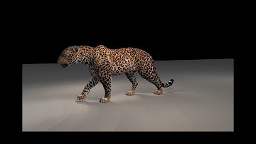 Leopard walk cycle