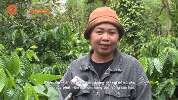 [TIẾNG GIA RAI] NÂNG TẦM NÔNG SẢN CHỦ LỰC NHỜ CÔNG NGHỆ | VTV5