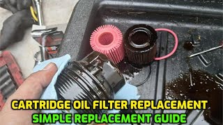 HOW TO REPLACE CARTRIDGE OIL FILTER (PAPER OIL FILTER) FOR DIYer