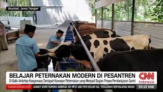 Belajar Peternakan Modern dan Bisnis UMKM di Pesantren