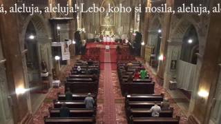 JKS 312b - Raduj sa, nebies Kráľovná - Regina coeli laetare (celá pieseň)
